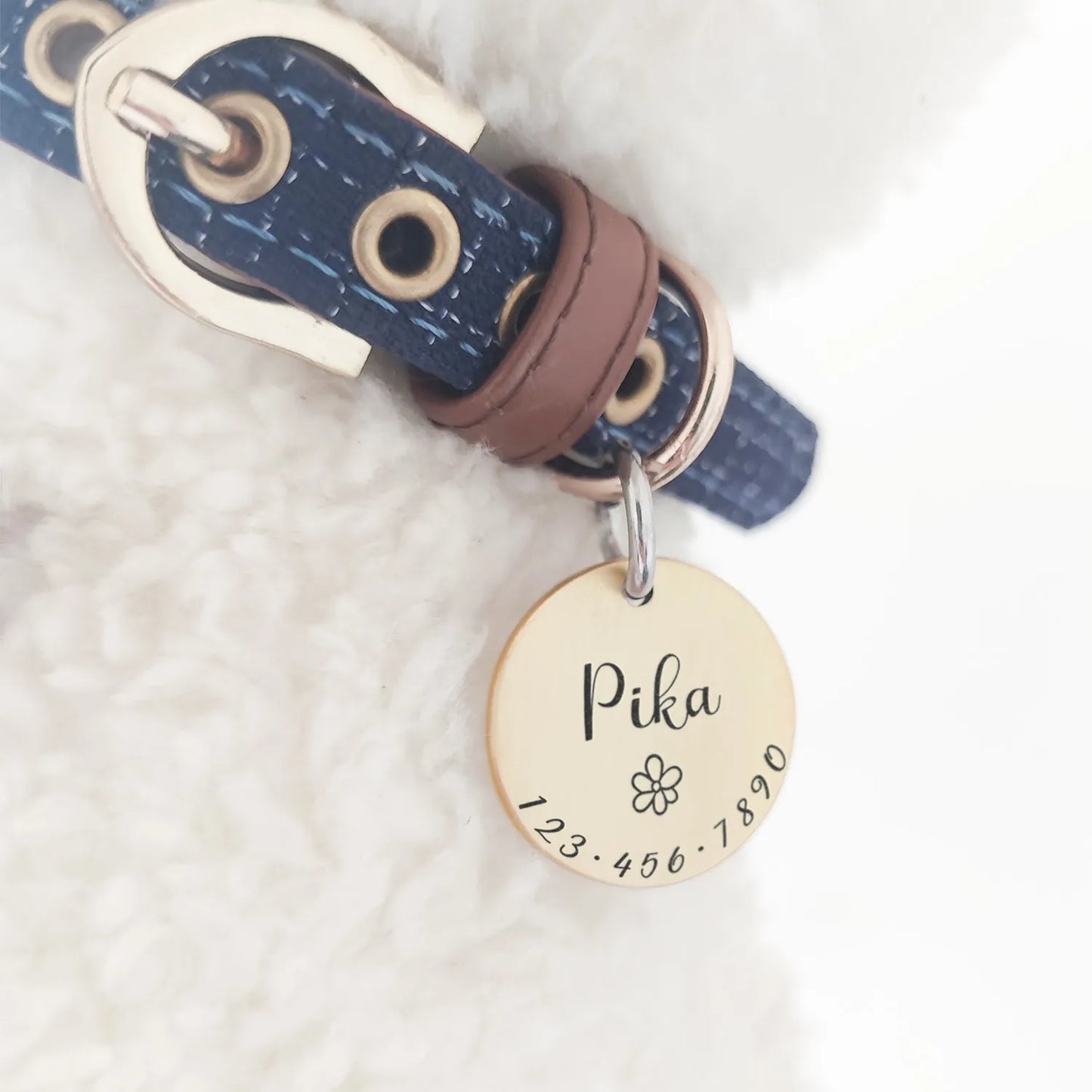 Personalized Pet ID Tag Collar Accessories