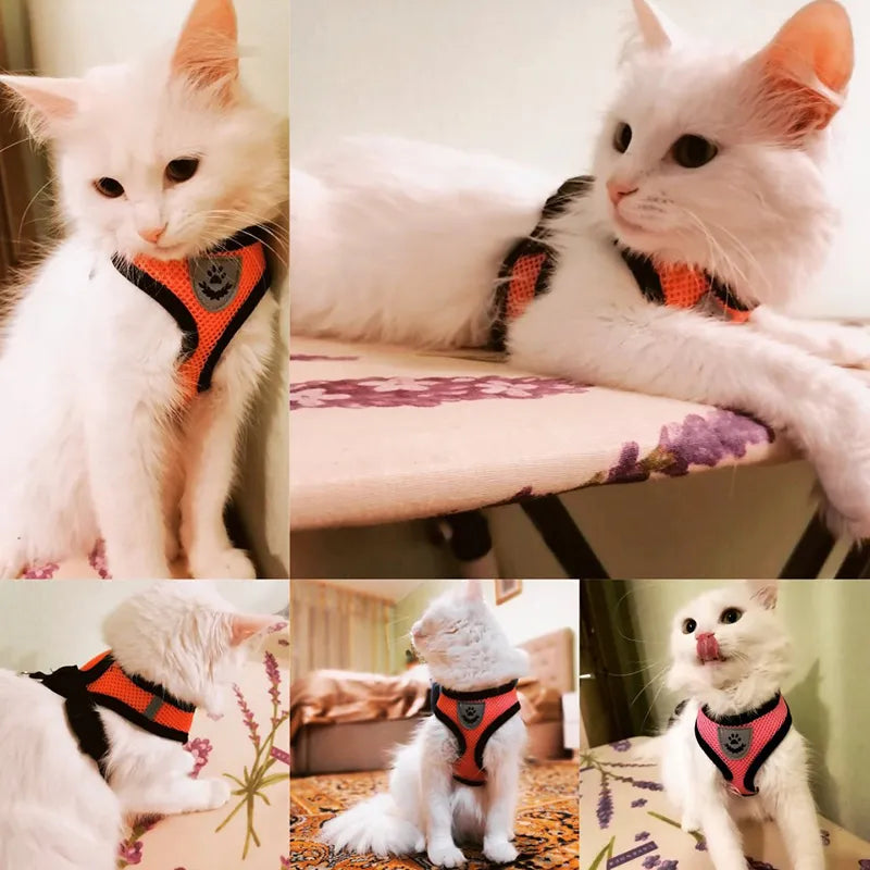 Cat Harness Vest Walking Lead Leash Collar Polyester Adjustable