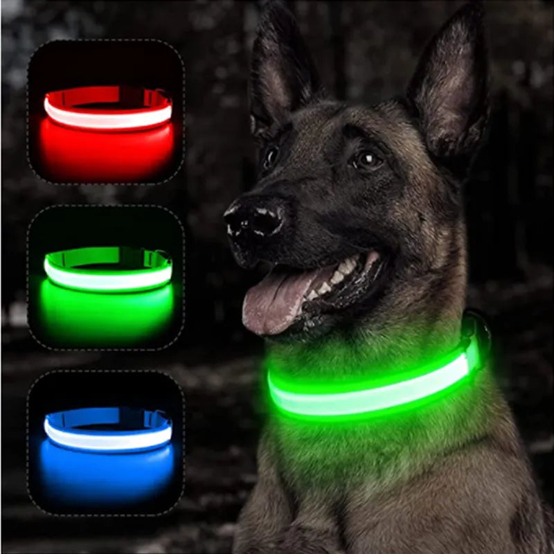 Coleira de cachorro brilhante LED ajustável piscando Rechargea luminosa