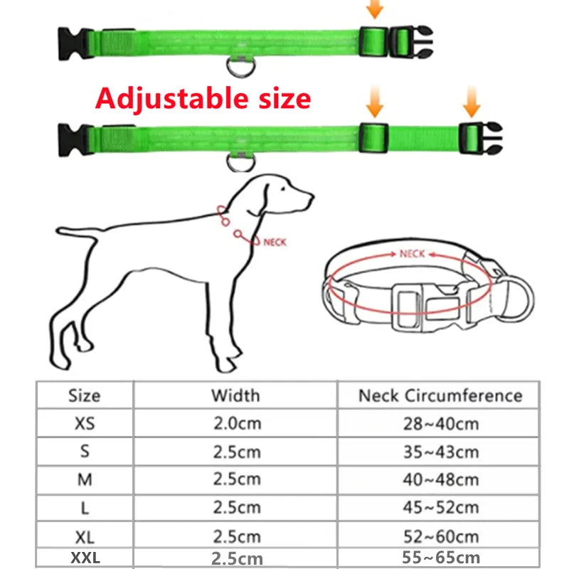 Coleira de cachorro brilhante LED ajustável piscando Rechargea luminosa