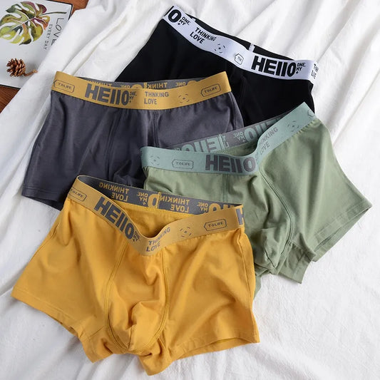 Men Panties Cotton Boxer Shorts Underwear