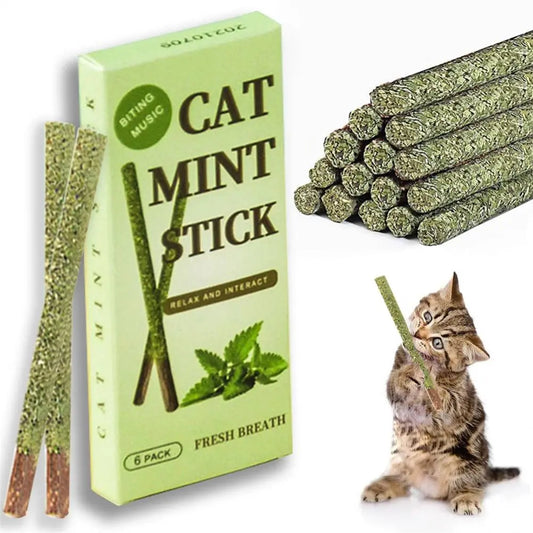 6 Sticks/box Cat Chews Products All Natural Catnip