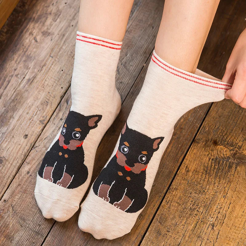 5 Pairs Fashion Colorful Cute Cartoon Cotton Women Socks