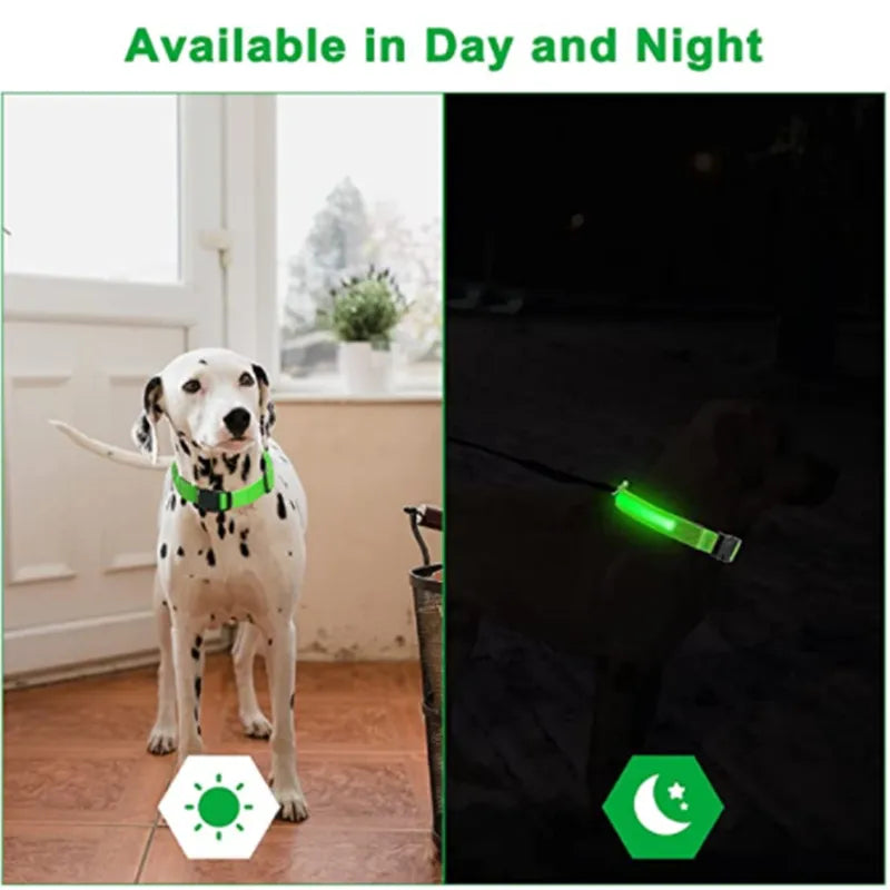 Coleira de cachorro brilhante LED ajustável piscando Rechargea luminosa