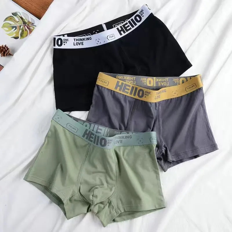 Men Panties Cotton Boxer Shorts Underwear