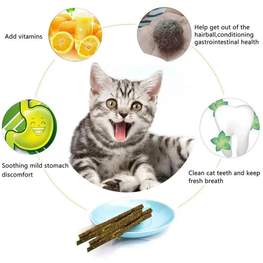 6 Sticks/box Cat Chews Products All Natural Catnip