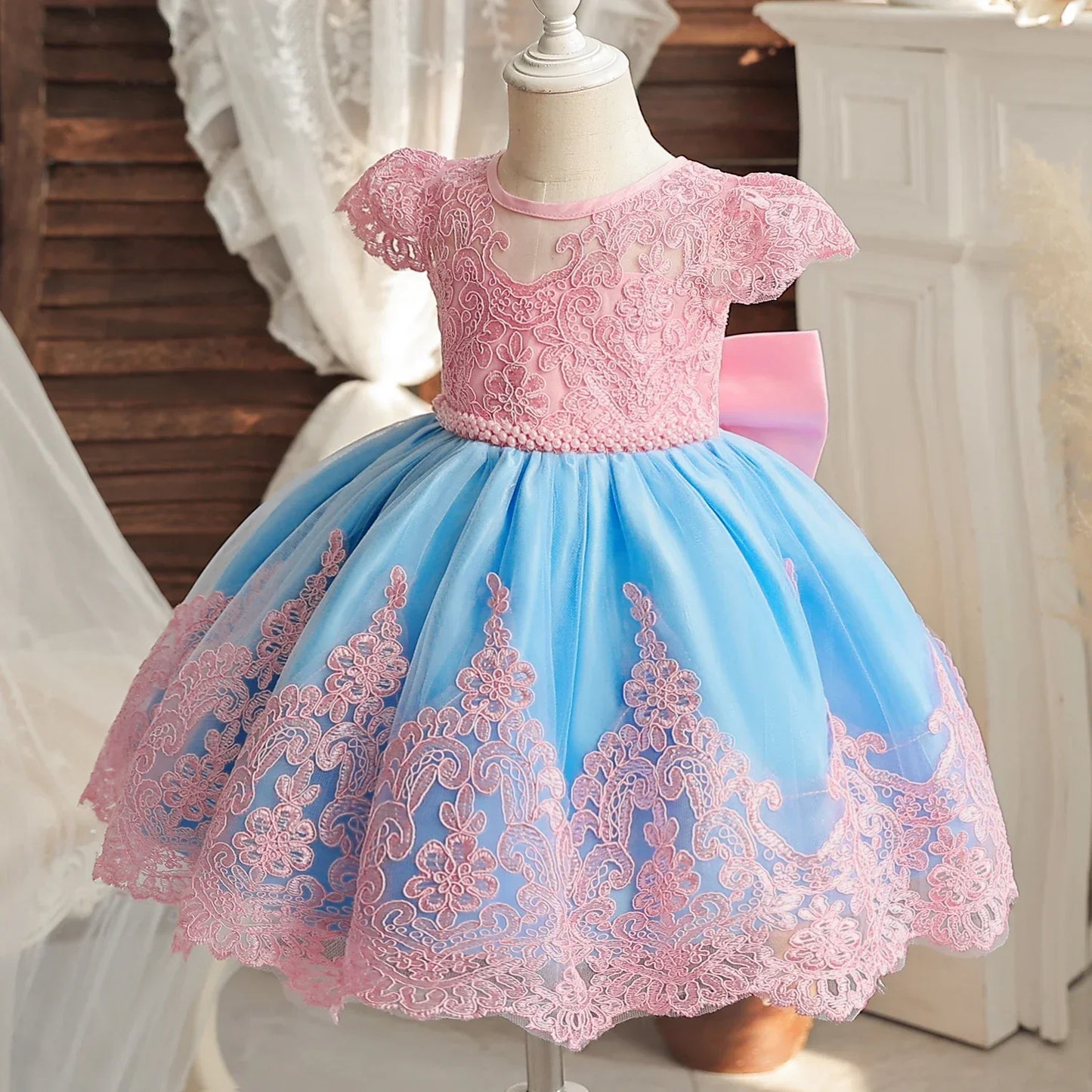 Princess Dress Embroidery Floral